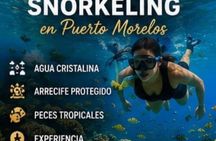Puerto Morelos Reef Snorkeling with Private Transportation