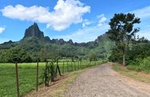 Quad adventure in Moorea