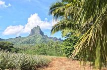 Quad adventure in Moorea