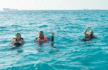 Snap, Smile, Swim & Free Photo: The Ultimate Transparent Boat