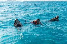 Snap, Smile, Swim & Free Photo: The Ultimate Transparent Boat