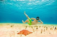 Snorkeling in Palancar, Turtles, Sky and Sky in Cozumel