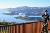 Christchurch Highlights Tour (Private Lyttelton shore excursion)