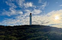 Great Ocean Road & 12 Apostles Private Tour | Your Own Guide