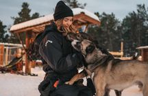 Dog Sled Tour and Husky Cuddles