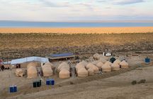 2 Day Aral Sea Eco Tour with Yurt Stay from Nukus