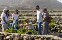 Three Wineries Tour