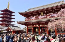 Tokyo Private Custom Tour by Car with Guide