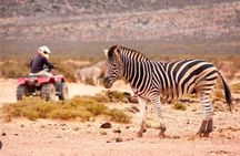 Aquila Big 5 Safari Day Tour