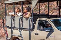 Aquila Big 5 Safari Day Tour