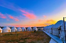 From Bukhara or Samarkand 2 Day Aydarkul Lake and Yurt Camp Tour