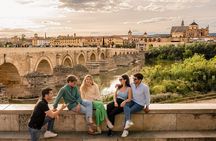 Cordoba & Granada with Entrance to Mosque & Alhambra from Seville