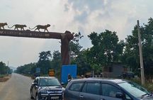 Amrabad Tiger Reserve and Wild Life Tour from Hyderabad
