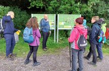 Sneem Hidden Gems Hiking Tour in Kerry