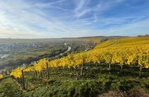 Autumn wine hike to the terroir f in Volkach