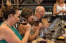 Málaga Andalusian Wine Tasting: 5 Wines and Local Food