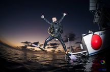 Roatan Scuba Diving Adventures and Tours