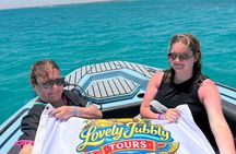 Speed Boat to Dolphin House, Sandbank Snorkeling Hurghada