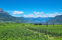 Bolzano Vineyards and Lakes MTB or eBike Tour