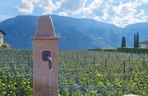 Bolzano Vineyards and Lakes MTB or eBike Tour