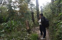 Challenging 1 Day Fansipan Mountain Trek from Sapa