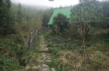 Challenging 1 Day Fansipan Mountain Trek from Sapa