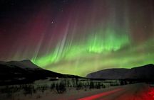 Tromso 3h Express Northern Lights Tour