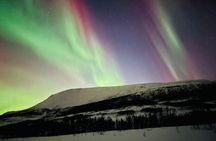 Tromso 3h Express Northern Lights Tour
