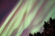 Tromso 3h Express Northern Lights Tour