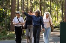 Brisbane Koala Half day Wildlife Viewing Tour