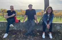 Autumn wine hike to the terroir f in Volkach