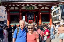 Tokyo Private Half-Day Highlights Tour by Car with Guide