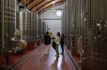 Vineyards Tour in Mendoza: Wine & Olive Oil Tasting Experience
