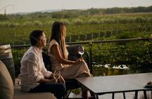 Vineyards Tour in Mendoza: Wine & Olive Oil Tasting Experience