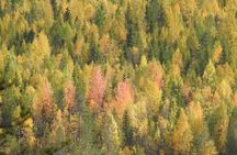 Riisitunturi National Park Autumn Hiking from Ruka-Kuusamo