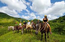 Rainforest Horseback Riding & Crocodile Safari Boat Tour