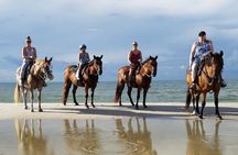 Rainforest Horseback Riding & Crocodile Safari Boat Tour