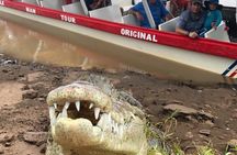 Rainforest Horseback Riding & Crocodile Safari Boat Tour