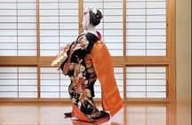 Kyoto Meet the Geisha Maiko with Gion Walking Tour