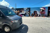 A Traveler's Choice to See it All in One Day VIP Tour of Miami!!