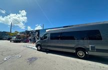 A Traveler's Choice to See it All in One Day VIP Tour of Miami!!
