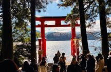 Hakone Private Highlights: Door-to-Door Full-Day Trip