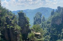 1-Day Private Avatar & Forest Park Tour: Bailong VIP Fast Track