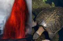 Big Island: Hawaii Volcanoes, Waterfalls and Hilo Adventure