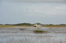 Everglades 60min Airboat Adventure | Small-Group+Pickup+Guide