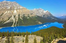Moraine Lake, Lake Louise, Peyto & Bow Lake Small-Group Tour