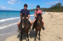 Isabela Horseback Ride Through Tropical Forest and Beach