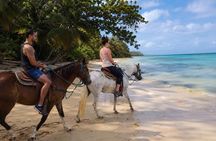 Isabela Horseback Ride Through Tropical Forest and Beach