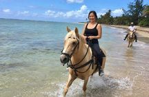 Isabela Horseback Ride Through Tropical Forest and Beach