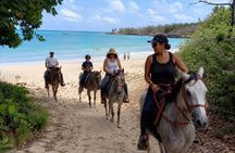 Isabela Horseback Ride Through Tropical Forest and Beach